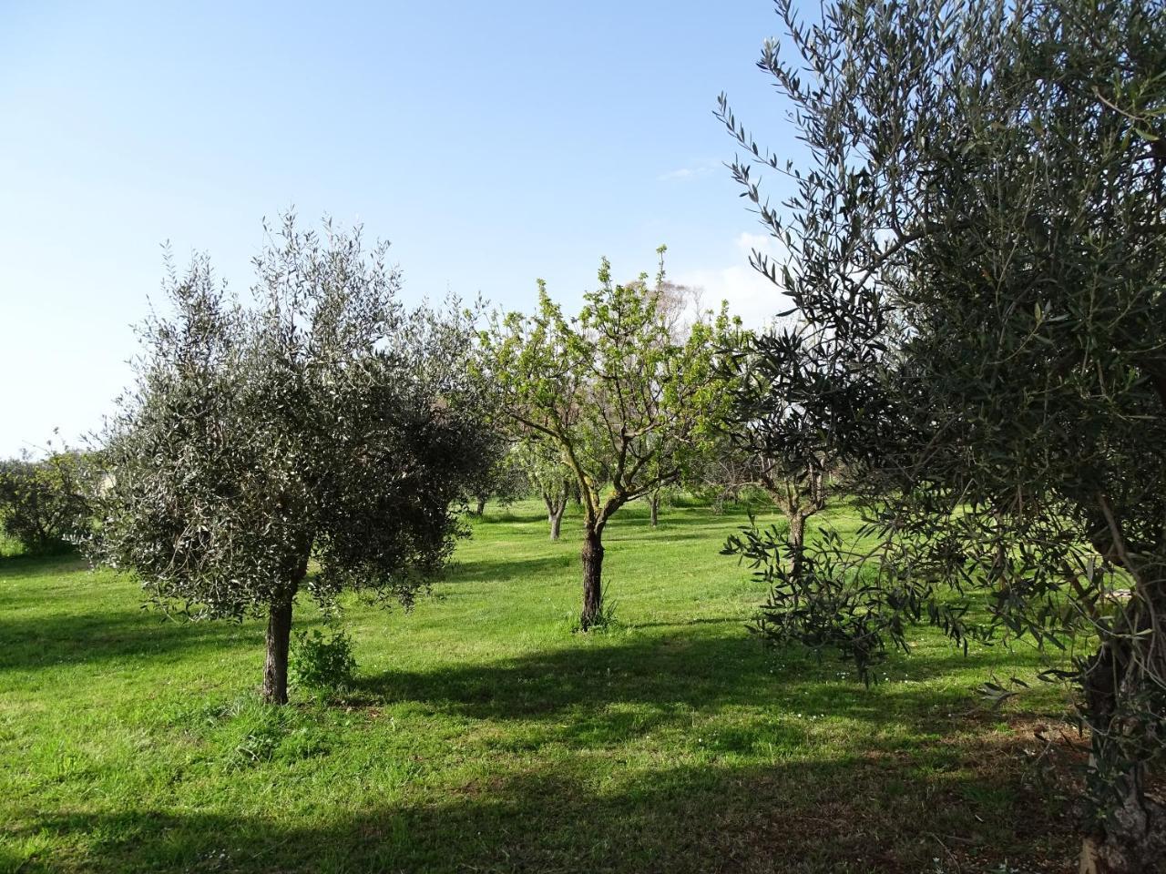 Podere 1248 Ladispoli Bagian luar foto